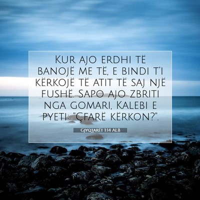 Picture 07 - Gjyqtarët 1:14 ALB - Kur ajo erdhi të banojë me të, e bindi t’i - Bible Verse Picture