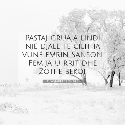 Picture 07 - Gjyqtarët 13:24 ALB - Pastaj gruaja lindi një djalë të cilit ia - Bible Verse Picture