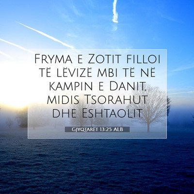 Picture 07 - Gjyqtarët 13:25 ALB - Fryma e Zotit filloi të lëvizë mbi të në - Bible Verse Picture
