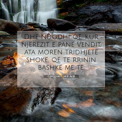 Picture 07 - Gjyqtarët 14:11 ALB - Dhe ndodhi që, kur njërëzit e panë vendit, - Bible Verse Picture