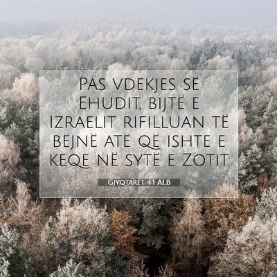 Picture 07 - Gjyqtarët 4:1 ALB - Pas vdekjes së Ehudit, bijtë e Izraelit - Bible Verse Picture