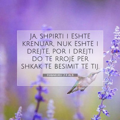 Picture 07 - Habakuku 2:4 ALB - Ja, shpirti i është krenuar, nuk është i - Bible Verse Picture