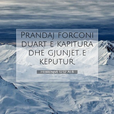 Picture 07 - Hebrenjve 12:12 ALB - Prandaj forconi duart e kapitura dhe gjunjët e - Bible Verse Picture