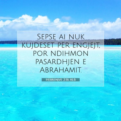 Picture 07 - Hebrenjve 2:16 ALB - Sepse ai nuk kujdeset për engjëjt, por ndihmon - Bible Verse Picture