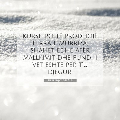 Picture 07 - Hebrenjve 6:8 ALB - kurse, po të prodhojë ferra e murriza, shahet - Bible Verse Picture