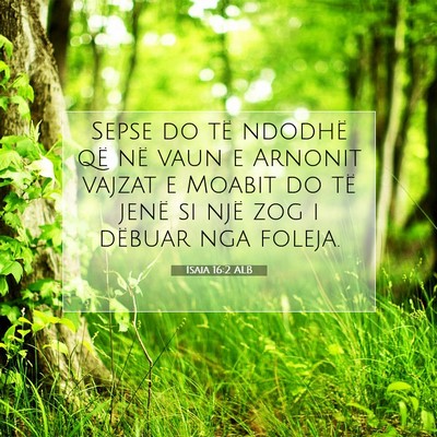 Picture 07 - Isaia 16:2 ALB - Sepse do të ndodhë që në vaun e Arnonit - Bible Verse Picture