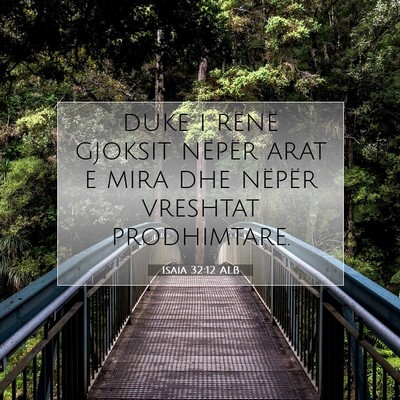 Picture 07 - Isaia 32:12 ALB - duke i rënë gjoksit nëpër arat e mira dhe - Bible Verse Picture