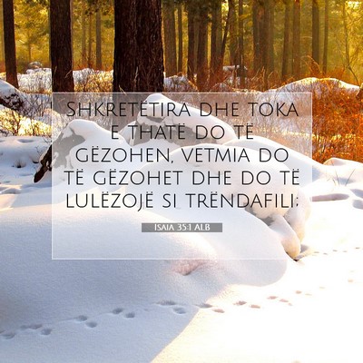 Picture 07 - Isaia 35:1 ALB - Shkretëtira dhe toka e thatë do të gëzohen, - Bible Verse Picture