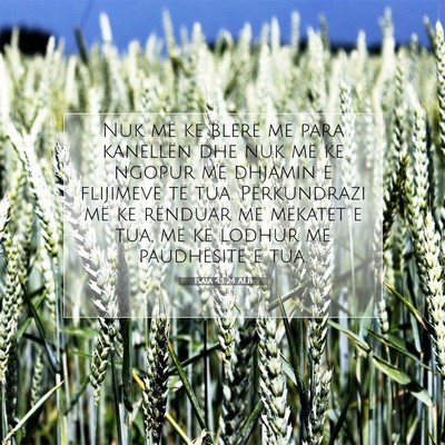 Picture 07 - Isaia 43:24 ALB - Nuk më ke blerë me para kanellën dhe nuk më - Bible Verse Picture