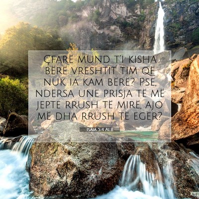 Picture 07 - Isaia 5:4 ALB - Çfarë mund t’i kisha bërë vreshtit tim që - Bible Verse Picture
