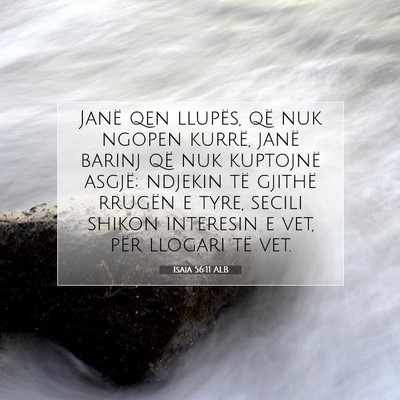 Picture 07 - Isaia 56:11 ALB - Janë qen llupës, që nuk ngopen kurrë, janë - Bible Verse Picture