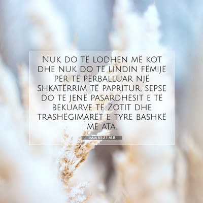 Picture 07 - Isaia 65:23 ALB - Nuk do të lodhen më kot dhe nuk do të lindin - Bible Verse Picture