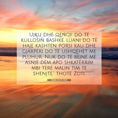 Picture 07 - Isaia 65:25 ALB - Ujku dhe qengji do të kullosin bashkë, luani do - Bible Verse Picture