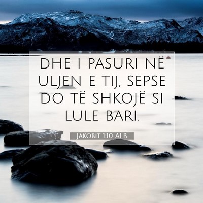 Picture 07 - Jakobit 1:10 ALB - dhe i pasuri në uljen e tij, sepse do të - Bible Verse Picture