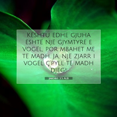 Picture 07 - Jakobit 3:5 ALB - Kështu edhe gjuha është një gjymtyrë e - Bible Verse Picture