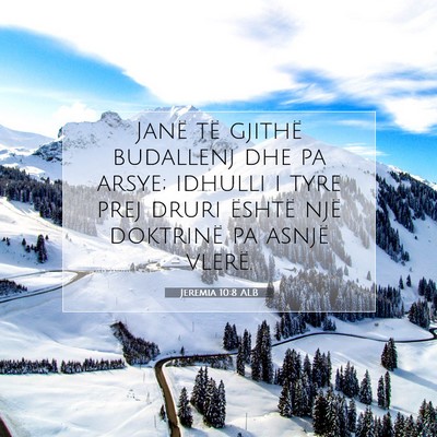 Picture 07 - Jeremia 10:8 ALB - Janë të gjithë budallenj dhe pa arsye; idhulli - Bible Verse Picture