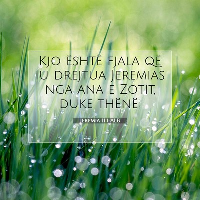 Picture 07 - Jeremia 11:1 ALB - Kjo është fjala që iu drejtua Jeremias nga ana - Bible Verse Picture