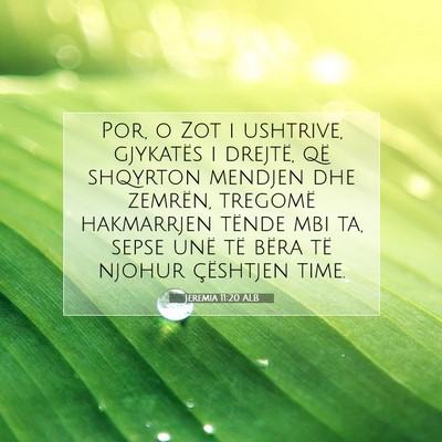 Picture 07 - Jeremia 11:20 ALB - Por, o Zot i ushtrive, gjykatës i drejtë, që - Bible Verse Picture