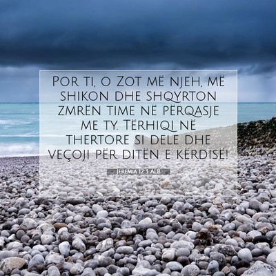 Picture 07 - Jeremia 12:3 ALB - Por ti, o Zot më njeh, më shikon dhe shqyrton - Bible Verse Picture