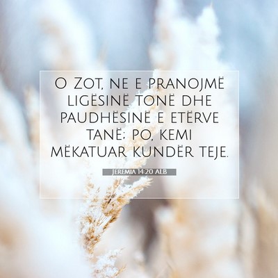 Picture 07 - Jeremia 14:20 ALB - O Zot, ne e pranojmë ligësinë tonë dhe - Bible Verse Picture