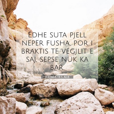 Picture 07 - Jeremia 14:5 ALB - Edhe suta pjell nëpër fusha, por i braktis të - Bible Verse Picture