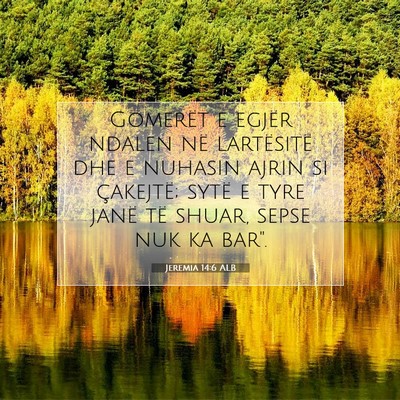 Picture 07 - Jeremia 14:6 ALB - Gomerët e egjër ndalen në lartësitë dhe e - Bible Verse Picture