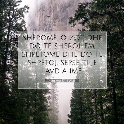Picture 07 - Jeremia 17:14 ALB - Shëromë, o Zot, dhe do të shërohem, - Bible Verse Picture