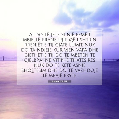 Picture 07 - Jeremia 17:8 ALB - Ai do të jetë si një pemë i mbjellë pranë - Bible Verse Picture