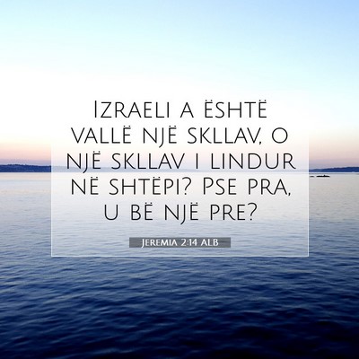 Picture 07 - Jeremia 2:14 ALB - Izraeli a është vallë një skllav, o një - Bible Verse Picture