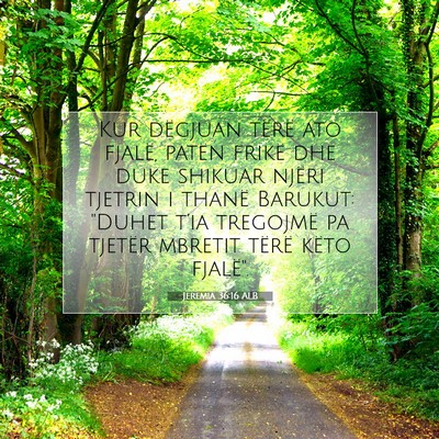 Picture 07 - Jeremia 36:16 ALB - Kur dëgjuan tërë ato fjalë, patën frikë dhe - Bible Verse Picture