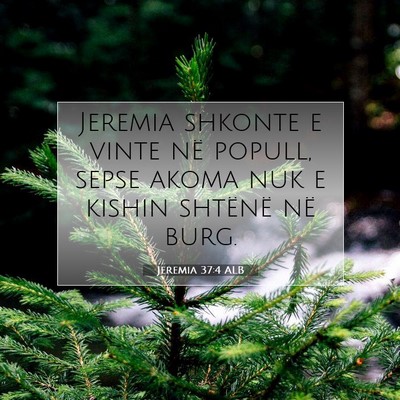 Picture 07 - Jeremia 37:4 ALB - Jeremia shkonte e vinte në popull, sepse akoma - Bible Verse Picture