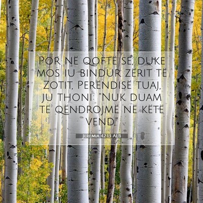 Picture 07 - Jeremia 42:13 ALB - Por në qoftë se, duke mos iu bindur zërit të - Bible Verse Picture