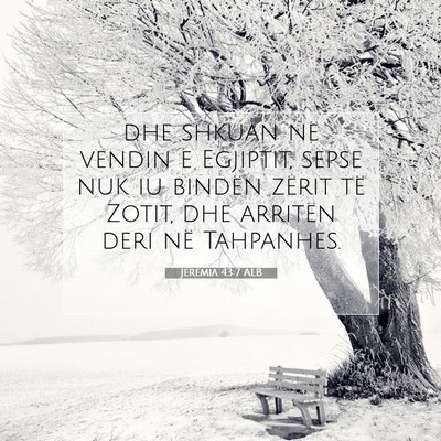 Picture 07 - Jeremia 43:7 ALB - dhe shkuan në vendin e Egjiptit, sepse nuk iu - Bible Verse Picture