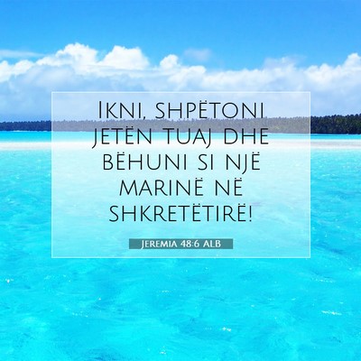 Picture 07 - Jeremia 48:6 ALB - Ikni, shpëtoni jetën tuaj dhe bëhuni si një - Bible Verse Picture