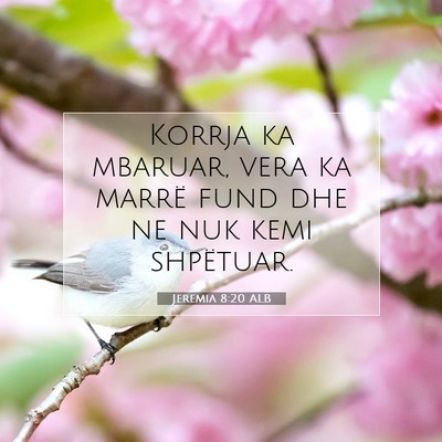 Picture 07 - Jeremia 8:20 ALB - Korrja ka mbaruar, vera ka marrë fund dhe ne nuk - Bible Verse Picture