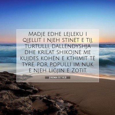 Picture 07 - Jeremia 8:7 ALB - Madje edhe lejleku i qiellit i njeh stinët e - Bible Verse Picture