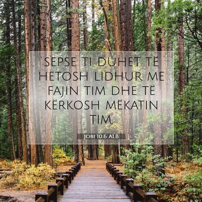 Picture 07 - Jobi 10:6 ALB - sepse ti duhet të hetosh lidhur me fajin tim dhe - Bible Verse Picture