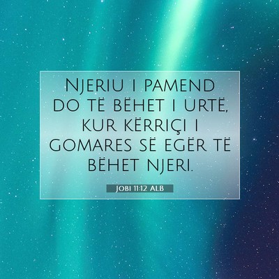 Picture 07 - Jobi 11:12 ALB - Njeriu i pamend do të bëhet i urtë, kur - Bible Verse Picture