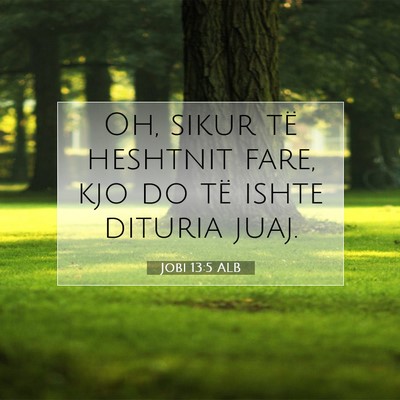 Picture 07 - Jobi 13:5 ALB - Oh, sikur të heshtnit fare, kjo do të ishte - Bible Verse Picture