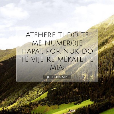 Picture 07 - Jobi 14:16 ALB - Atëherë ti do të më numëroje hapat, por nuk - Bible Verse Picture