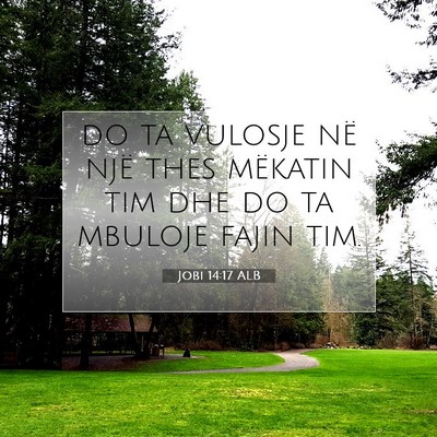 Picture 07 - Jobi 14:17 ALB - do ta vulosje në një thes mëkatin tim dhe do - Bible Verse Picture