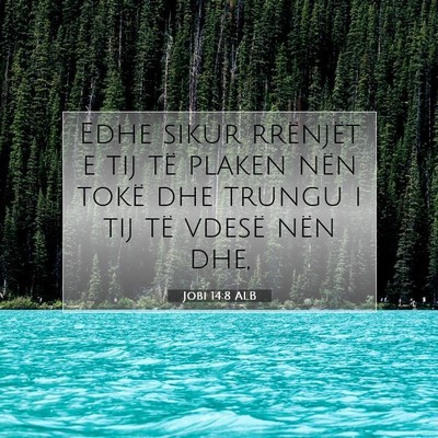 Picture 07 - Jobi 14:8 ALB - Edhe sikur rrënjët e tij të plaken nën tokë - Bible Verse Picture