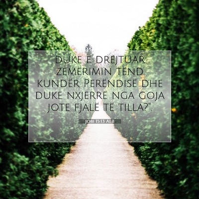 Picture 07 - Jobi 15:13 ALB - duke e drejtuar zemërimin tënd kundër - Bible Verse Picture