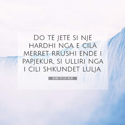 Picture 07 - Jobi 15:33 ALB - Do të jetë si një hardhi nga e cila merret - Bible Verse Picture