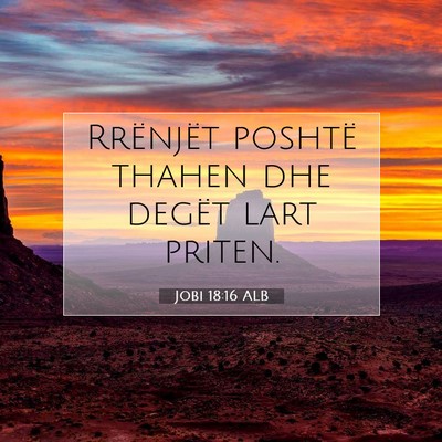 Picture 07 - Jobi 18:16 ALB - Rrënjët poshtë thahen dhe degët lart - Bible Verse Picture