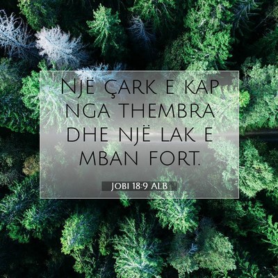Picture 07 - Jobi 18:9 ALB - Një çark e kap nga thembra dhe një lak e mban - Bible Verse Picture