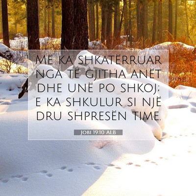 Picture 07 - Jobi 19:10 ALB - Më ka shkatërruar nga të gjitha anët dhe unë - Bible Verse Picture