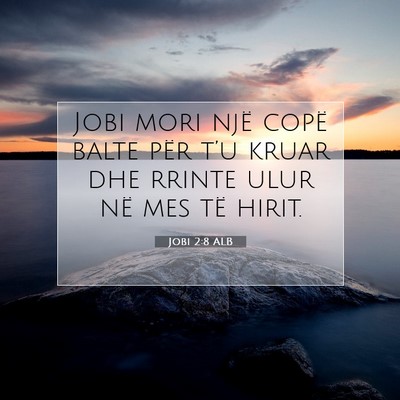 Picture 07 - Jobi 2:8 ALB - Jobi mori një copë balte për t’u kruar dhe - Bible Verse Picture