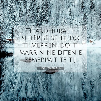 Picture 07 - Jobi 20:28 ALB - Të ardhurat e shtëpisë së tij do t’i - Bible Verse Picture