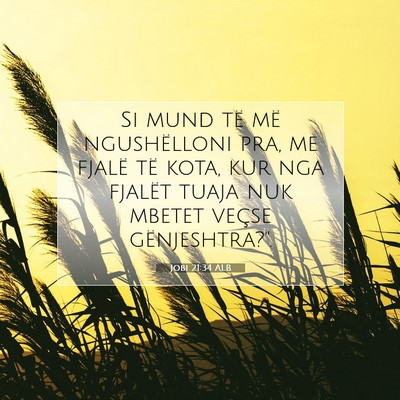 Picture 07 - Jobi 21:34 ALB - Si mund të më ngushëlloni pra, me fjalë të - Bible Verse Picture